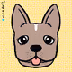 Frenchie Ro-se - old