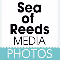 Sea of Reeds Media NFT Photos