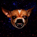 The Triggered Dog Nebula - old