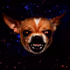The Triggered Dog Nebula - old
