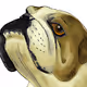 DOGS caricature !