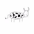 They're just cows