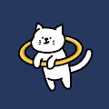 Hang Cat