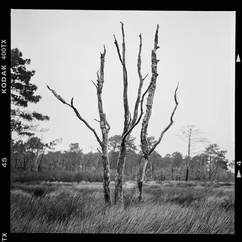 Feet in the water in the heart of the Prs sals