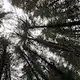 Happily Lost
