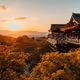 'SOUL OF JAPAN: Re' by Adri The Ghost