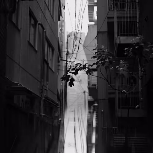 Exodus to the Land of Hope 108 B&W - old