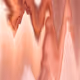 Nude Abstracts