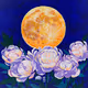 My Moon is here