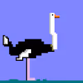 Ostriches