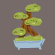 Relax potted plants Collections