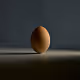 chicken.photos - The Egg