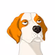 LEO fool dog