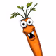 Happy Carrot