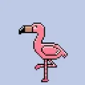 Crypto Flamingos