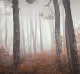 Lost At Last by Louis Iruela