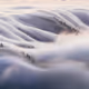 Editions of Fog