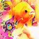 Rates Da Goldfish - old