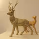 Edition Deer