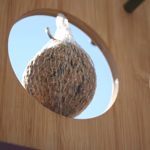 Alex_Feil Collection