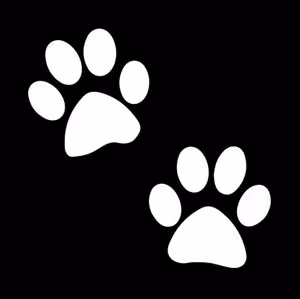 DOGE.Exchange Collection