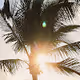 Collectors of Sunsets and  Sunrises
