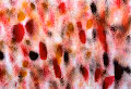 Fantasy-Abstract