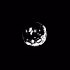 Low Key Lunar Frens