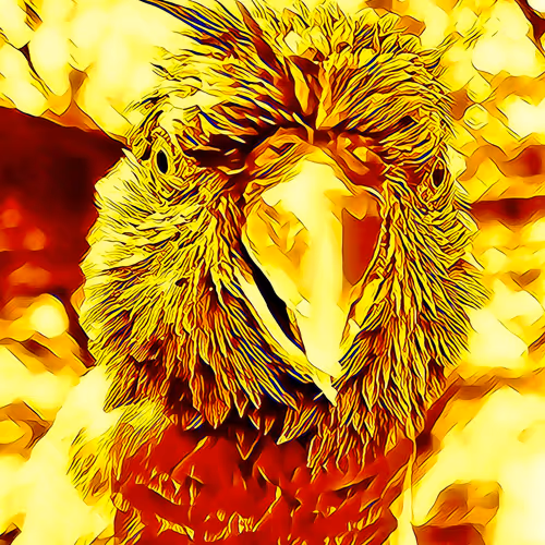 Larry Lorikeet Collection