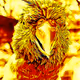 Larry Lorikeet Collection