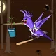 Hummingbird Warriors Digital Art