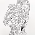 Feminine Lines