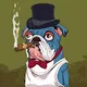 JunkYardDogs