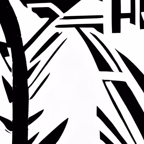 BLACK+WHITE - old V2