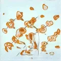 Elohim AI Abstracto