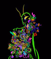 NFT COLORFUL NIGHT