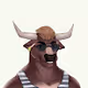 SafeBull NFT