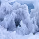 The Polar Vortex