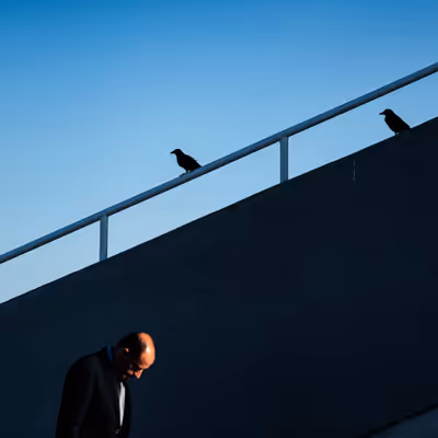 The Crows by MelihERSAHiN