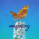 mujeeny Collection 1