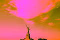 THIS IS AMERICA photograohy by Dani Ropi