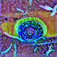 AI DeepDream Art