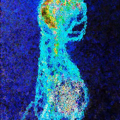 Human Insect by Vitestrella