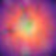 Embryonic NFT