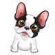 SparklesDogs