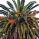 Jessica Golich California Photography