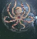 Octocosmos