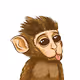 Monkey sticking out tongue