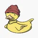 Ducky Fun