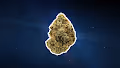 WEEDBUD